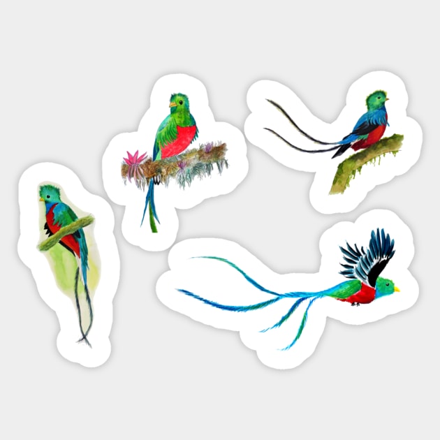 Quetzal Collection! Hand Painted Watercolor Quetzals Sticker by julyperson